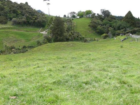 37 Windmill Glen Road, Dairy Flat