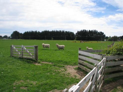 91 Maher Street, Tisbury