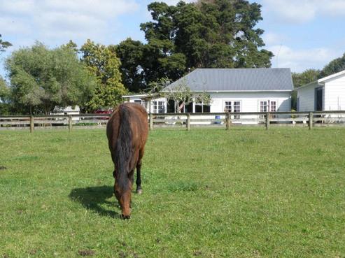 626 State Highway 1, Kauri