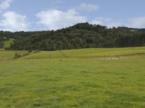 35 Polo Lane, Whitford