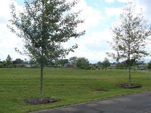 2 Danehill Close, Matamata
