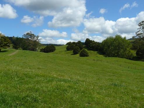 1268 Otangaroa Road, Kaeo