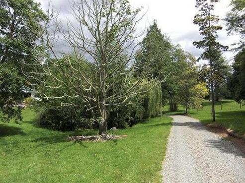 273 Limeworks Loop Road, Te Pahu