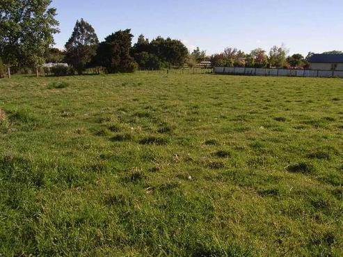 41B Weld Street, Martinborough