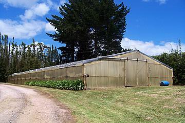 239 Pungaere Road, Kerikeri Surrounds