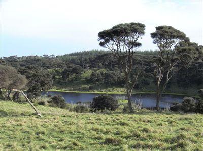 786 Wilson Road, South Head