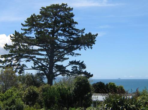 97 Howard Road, Orere Point
