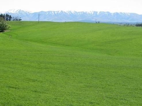 513 Barneys Lane, Ranfurly