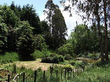 22 Aldridge Road, Hunua