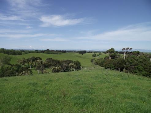 357 Mount Biggs Road, Halcombe