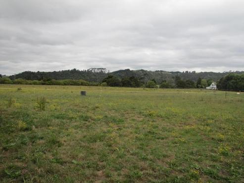 379 Matua Road, Kumeu