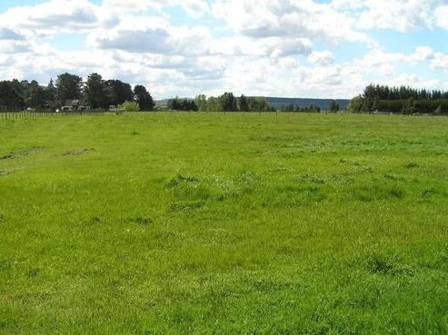 1815 Broadlands Road, Broadlands Forest