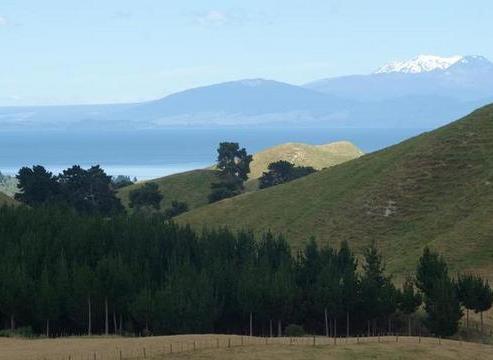 895 Mapara Road, Kinloch