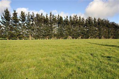16 Memorys Lane, Springston