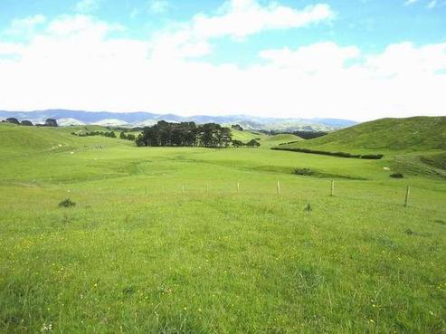 888 Nireaha Road, Eketahuna