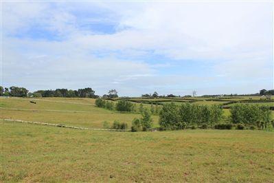 95 Ostrich Road, Patumahoe