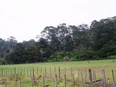 82 Tauroa Street, Raumanga