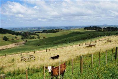 233B Pinnacle Hill Road, Mangatawhiri