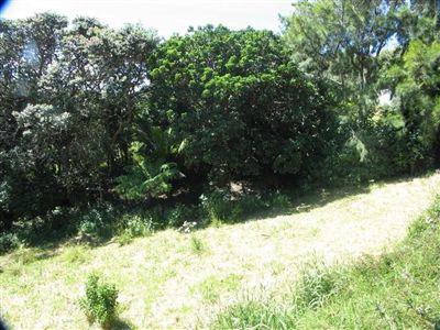 33 Blackwell Drive, Great Barrier Island