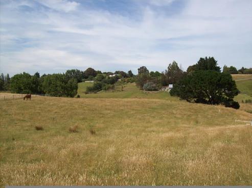 15 Quail Avenue, Feilding