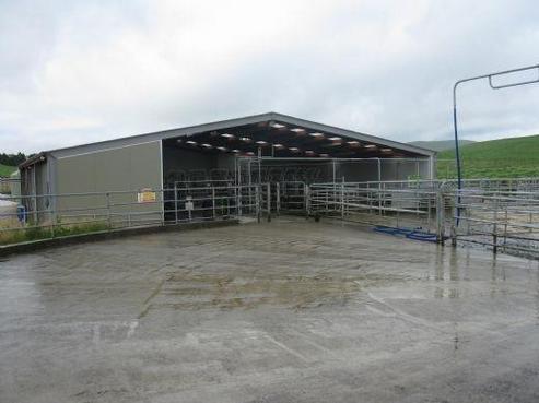 1252 Diamond Peak Road, Gore Surrounds