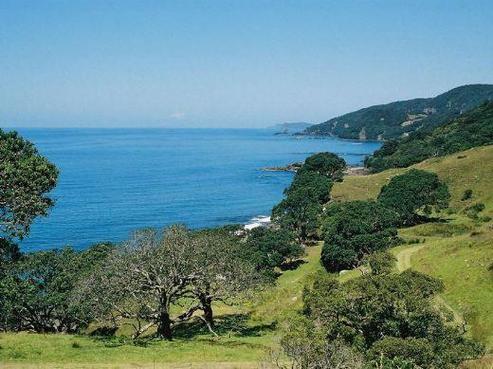 120 Radar Road, Whenuakite