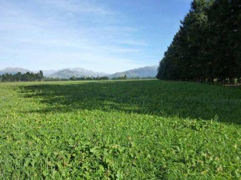1170 Ashburton River Road, Methven