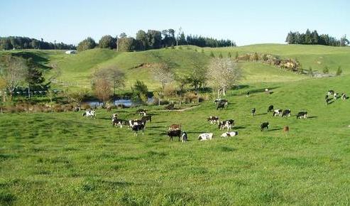 974 Tauranga Direct Road, Hamurana