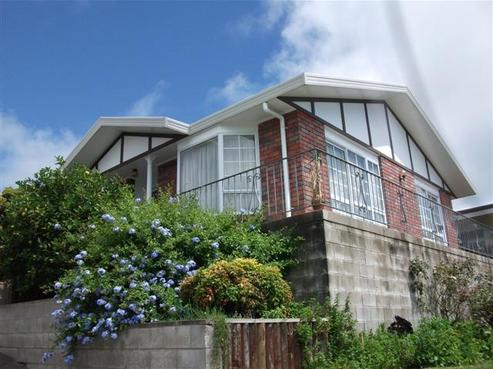 5 Carew Street, Nawton