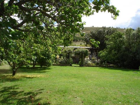 17 Hazlett Street, Clyde