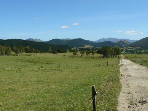 86 Avoca East Road, Dargaville Surrounds