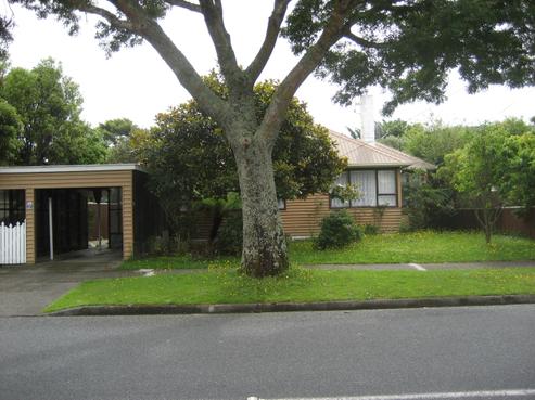 71 Reynolds Street, Taita