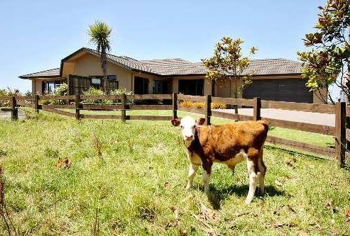 427 Upland Road, Tarurutangi