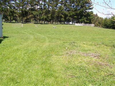 123 Riverbank Road, Otaki