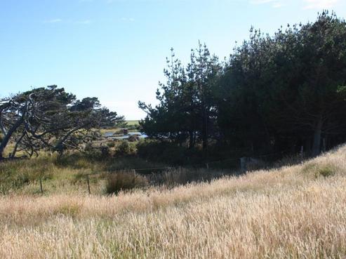 267 Awarua Bay Road, Awarua