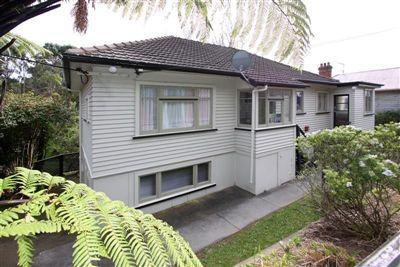 46 Carrington Street, Lower Vogeltown