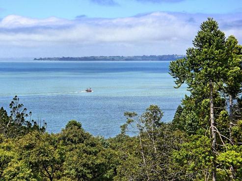 61 Paturoa Road, Titirangi