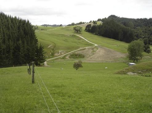 198 Paparoa Station Road, Paparoa