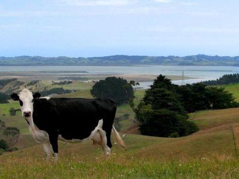 192 Tuhirangi Road, Makarau