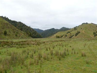 1056 Mangatoa Road, Awakino