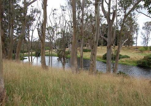 111 Green Island Bush Road, Blackhead