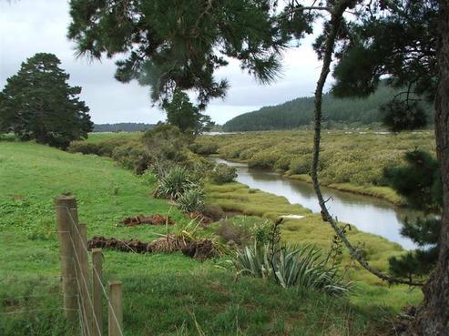 76 Opoutere Road, Whangamata
