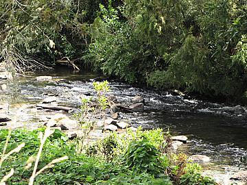 45 Amokura Drive, Kerikeri