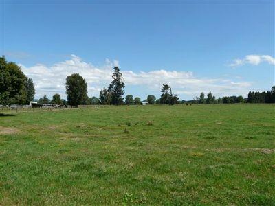 530 Pirongia Road, Te Awamutu