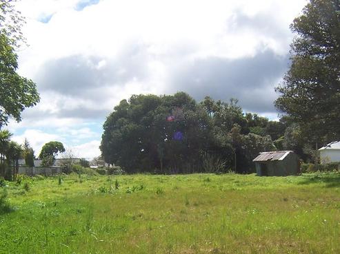 8 Elsies Way, Kamo