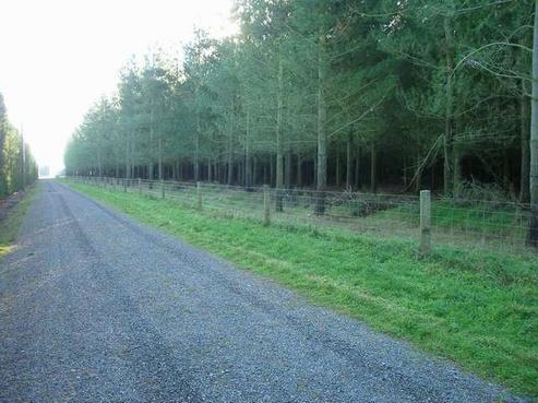 744 Downs Road, West Eyreton