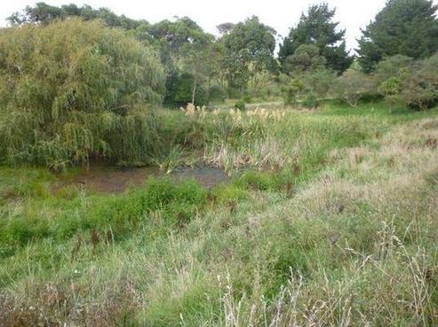 188 Te Hapua Road, Te Horo
