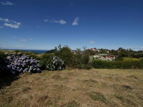 216 Highcliff Road, Shiel Hill