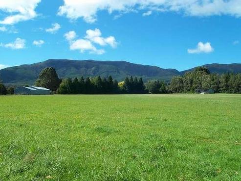 1087 Tapanui Raes Junction Highway, West Otago Surrounds