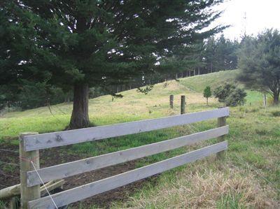 20 Higham Road, South Head